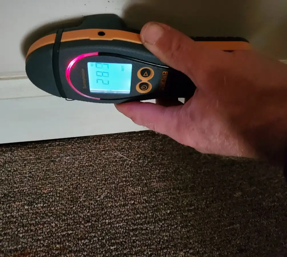 Moisture detection at baseboard during Mold Inspection & Testing in Addison